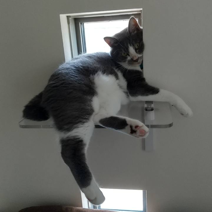 Ca23ea9c 6603 417d 94c5 6c4b8038f6dc 1627789894336