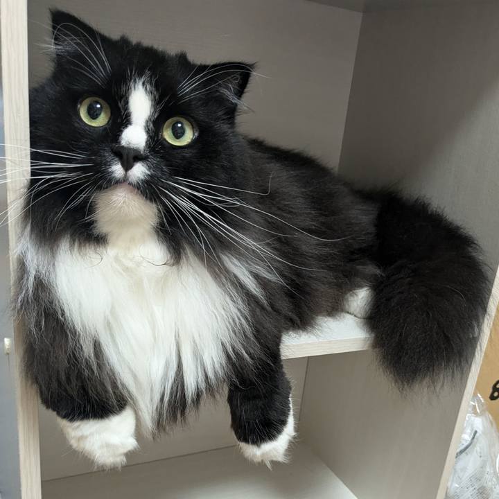 Ca240493 d701 479d 82ef b9b71c30d522 1721823290867