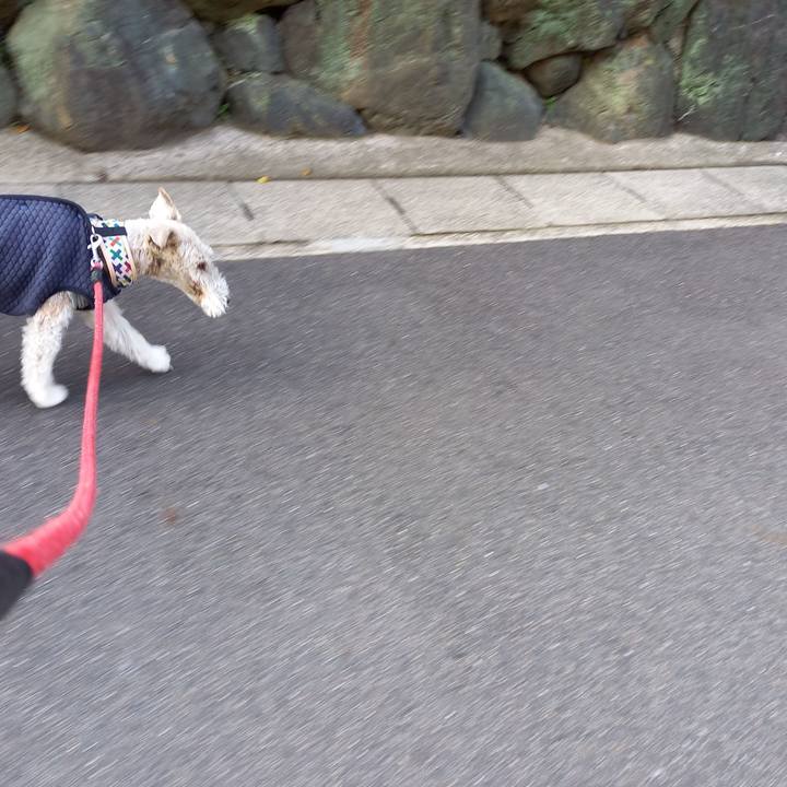 Ca243944 44cd 4e3b b001 e2aaf0cde27b 1617838276877