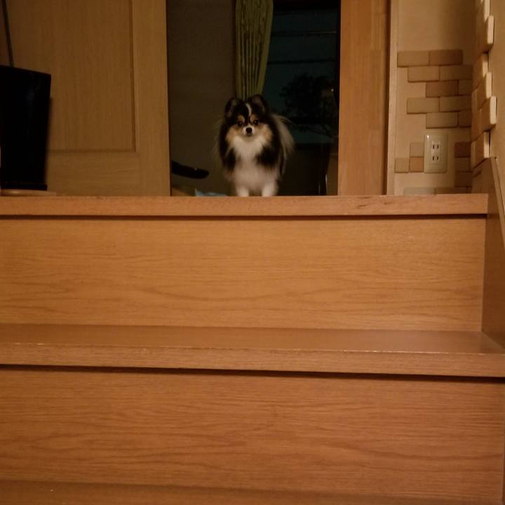 Ca243e70 4e92 4457 8bf3 8fd7dd53c598 1537959478365