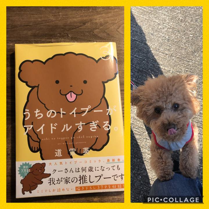 Ca24520a ed77 46d6 9cdb 39ed5d2cb8b7 1610796221624