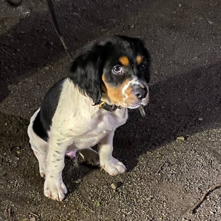 Ca24a7b4 7b50 47f0 b1ea 258289b50c03 1665493790400