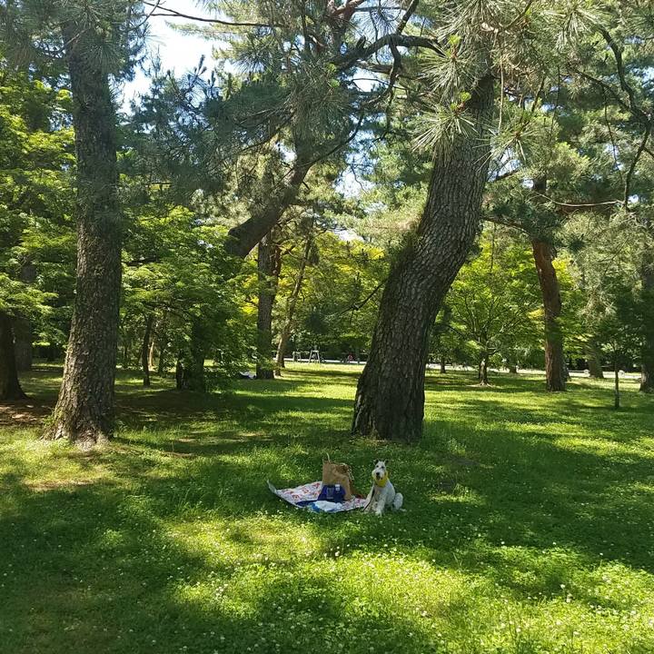 Ca24e64a 4186 490f acb2 cb025612eee2 1529129752045