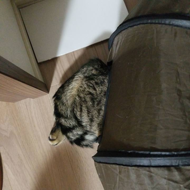 Ca24f7ca 0e6a 4bf5 9ca4 0463f48e09a2 1597060361734