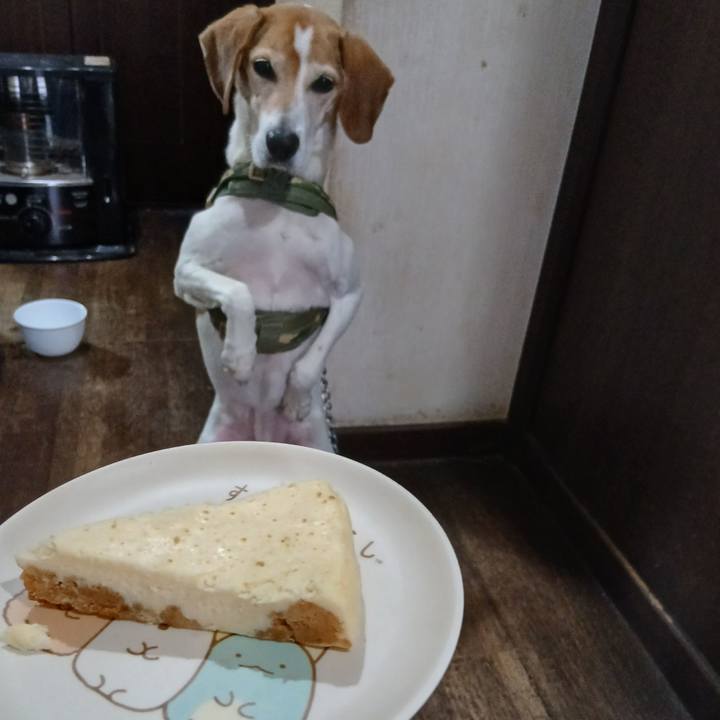 Ca251611 1e95 47f1 b9d8 6e514113567e 1767599288752