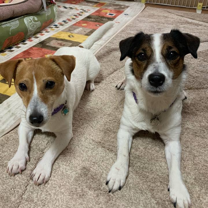 Ca252920 f388 416d ae43 82bf0d63e80e 1583277682187