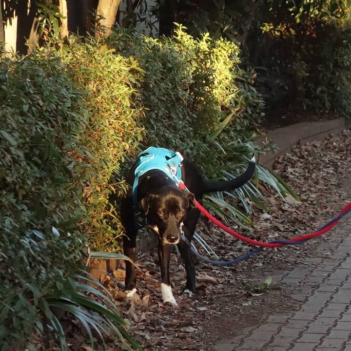 Ca252e74 5604 49e5 90e5 4acc7aabe2f2 1612484421363