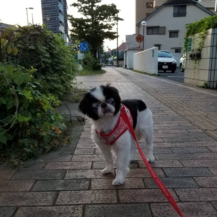 Ca253a92 28c8 4ecf a13d 4ad77d385b58 1597264907758