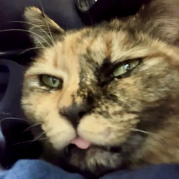 Ca25441b 6ea1 443e a29e 9083d0da001e 1738749216670