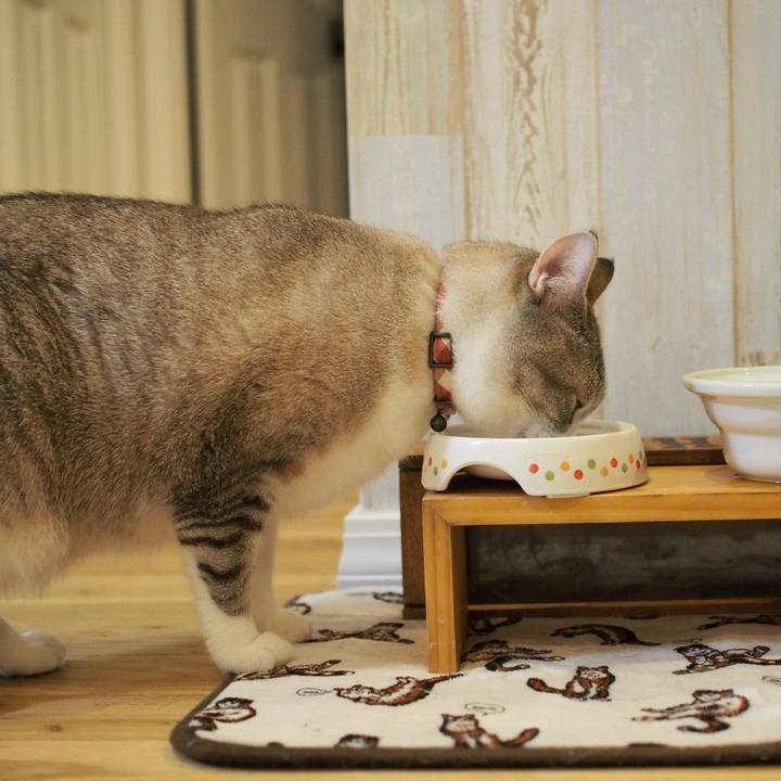 Ca255f68 78db 46b3 9220 42f612edd4a9 1588331455801