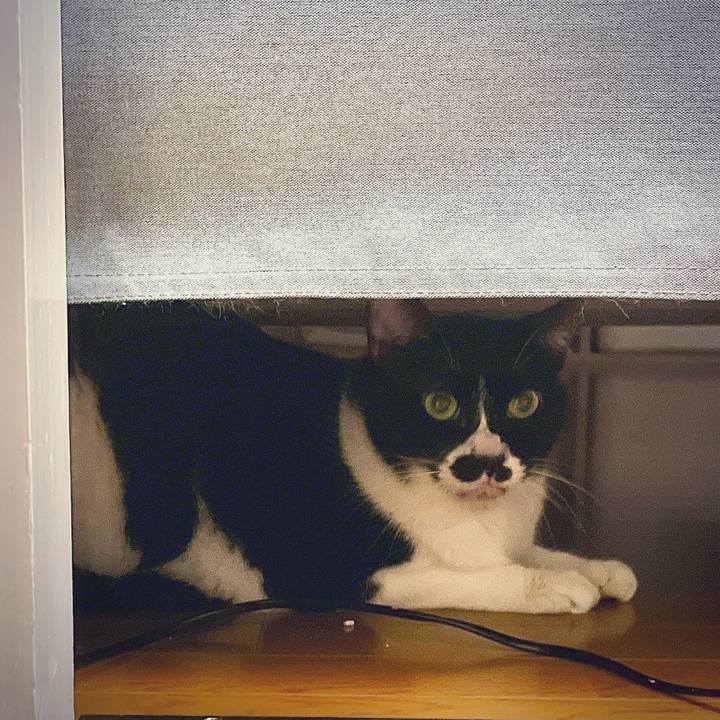 Ca25a27e da50 4467 bdce 73ca53a4888f 1661940893856