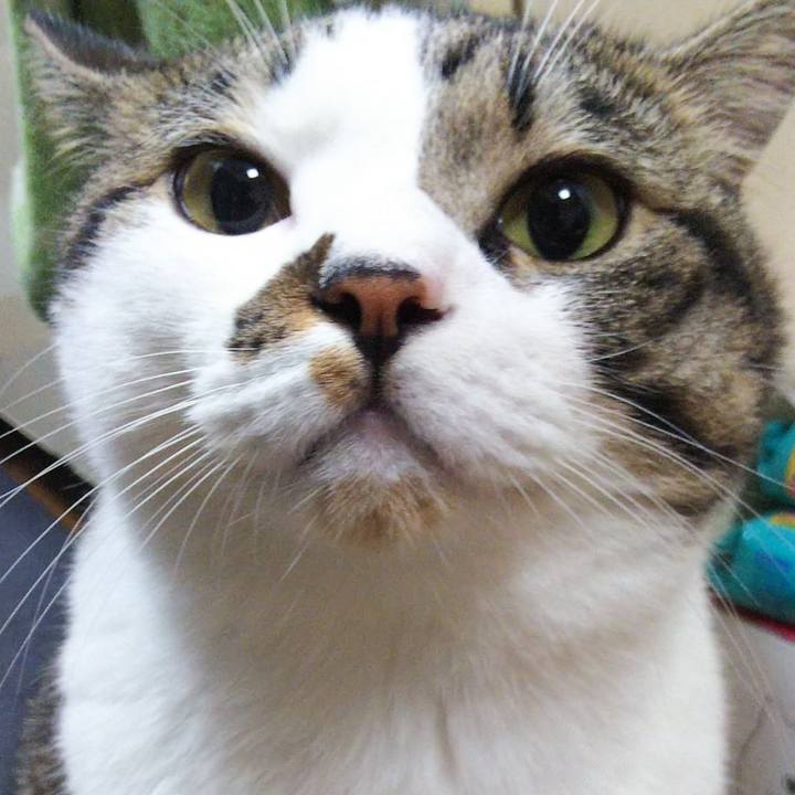 Ca2631c8 7b38 4388 890b 34e62403c940 1662728537575