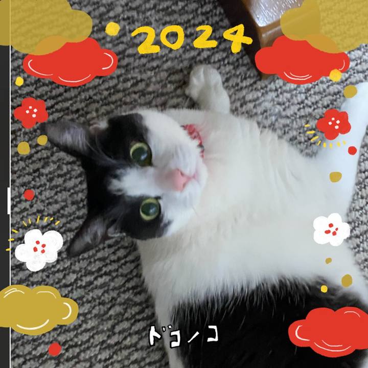 Ca2662c9 f81a 44bd 9cd2 30b12e586e5c 1704523400438