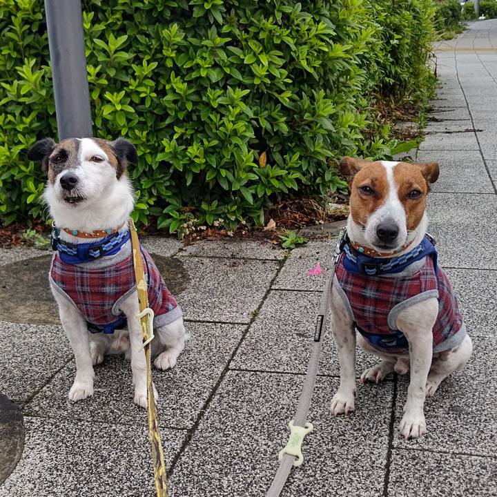 Ca2685ca c5bd 4341 a1b2 47a76a7e7401 1621551338550