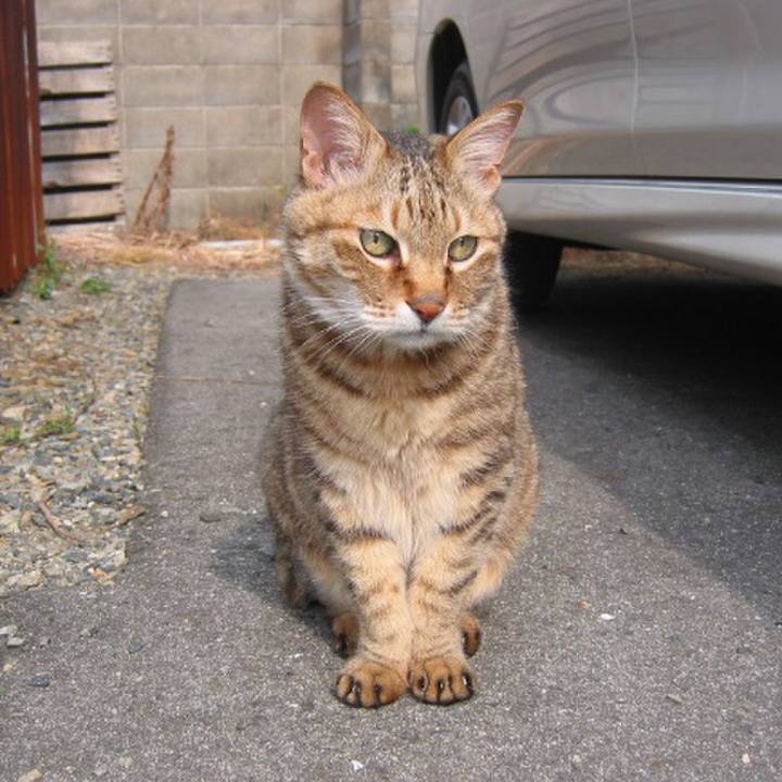 Ca26e8a1 7e4e 4bf3 a3e3 e1ed5edeb4fe 1519784281743