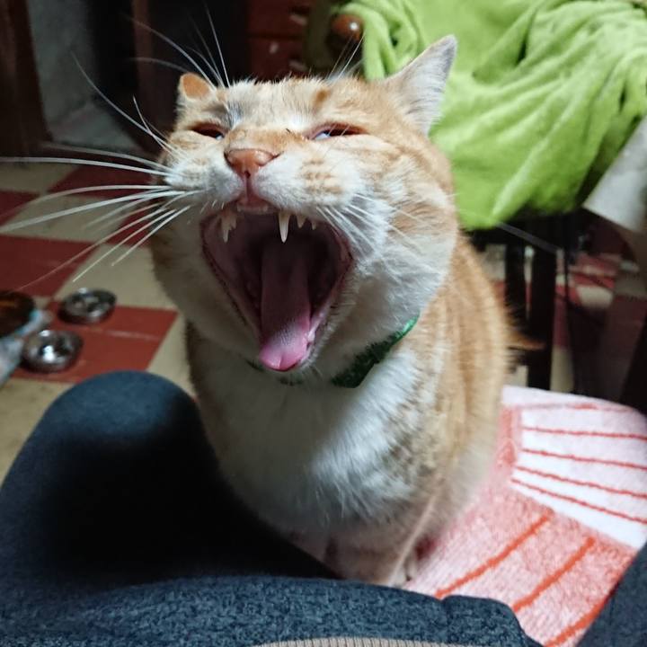 Ca270e55 7e58 47f1 a32b 13f0a23502eb 1583956975522