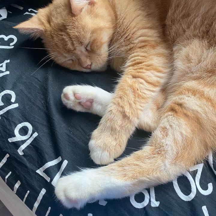 Ca2730f0 2248 41c7 98f7 0feaa11c7e2b 1629091727889