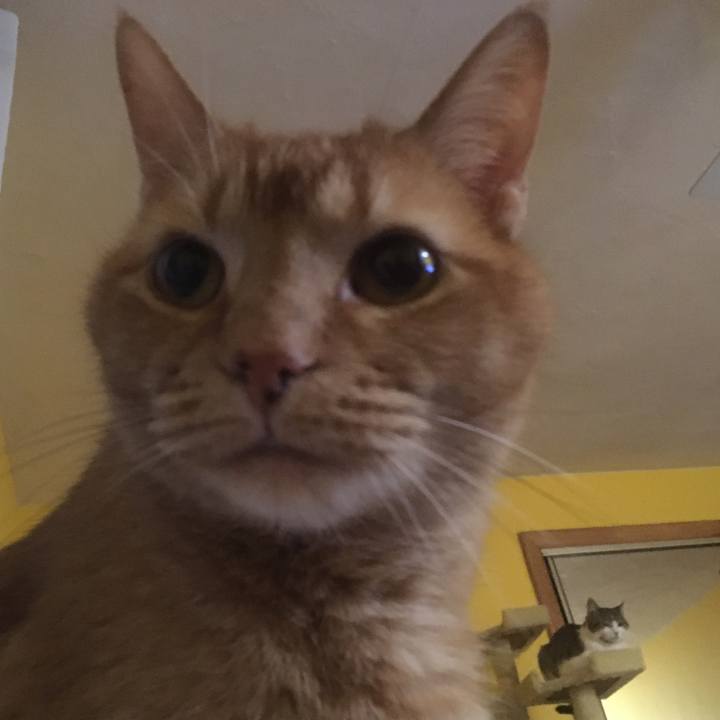 Ca2738ff 740a 43d8 b065 745f85c99aaa 1618453582680