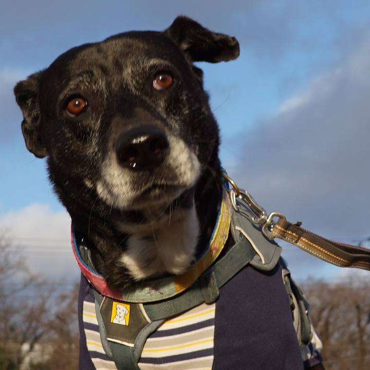 Ca274228 a2a3 44c0 badd 07ab6b9bd65f 1768610561215