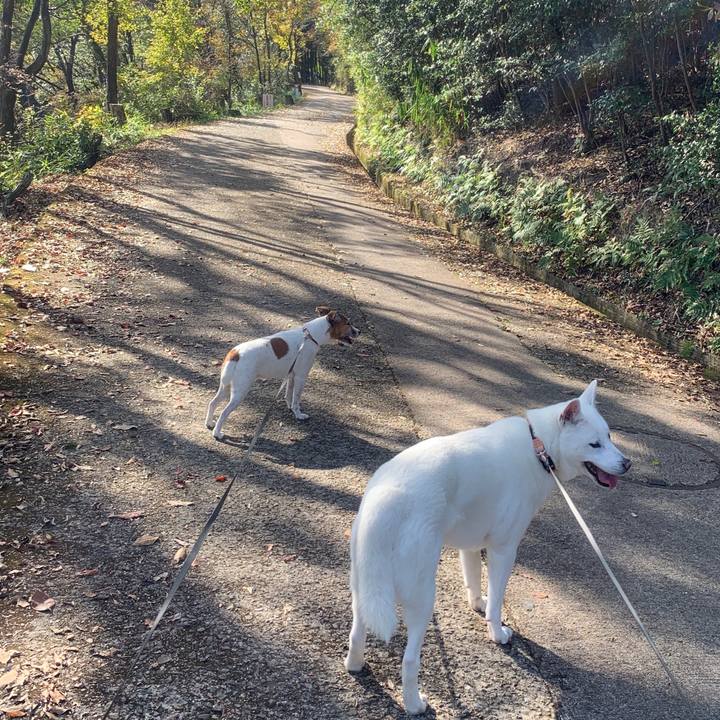 Ca2745c3 fcd7 4427 b12d b10dc627a57d 1542530211307