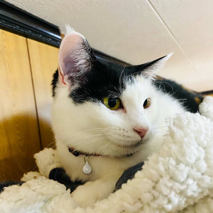 Ca274916 dfd5 4c52 aad0 21750d237751 1678490474420