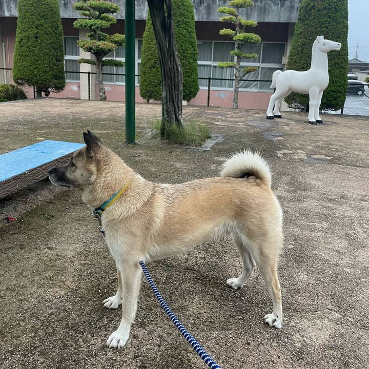 Ca275450 2b86 4002 a408 1d092068b483 1657023971237