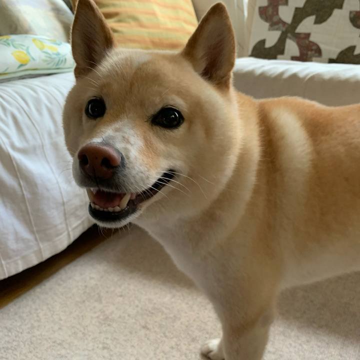 Ca27811f 44f4 46ed 9689 9fac33d8cbea 1625880153901