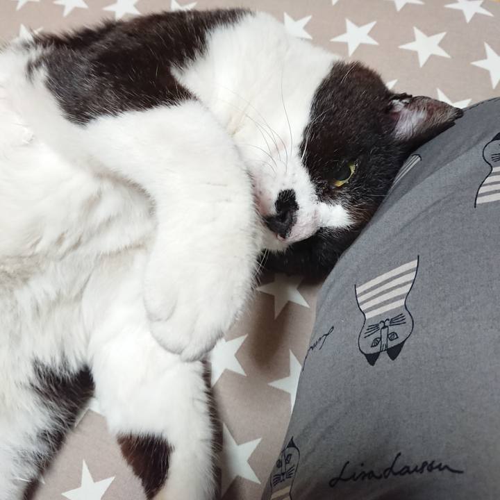 Ca2799ef a678 496a b9bc e7a0660c1891 1654868614820