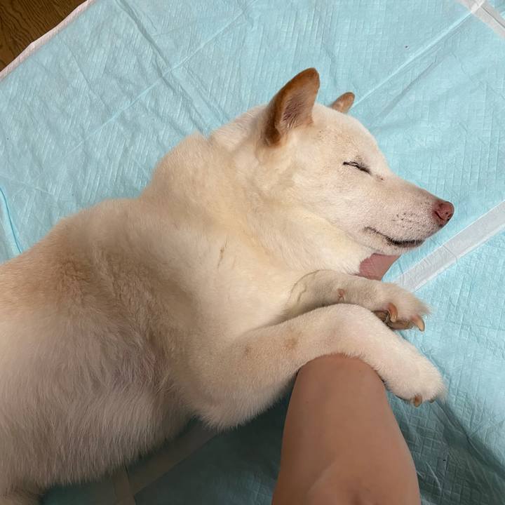 Ca27c660 516e 40b1 99fb 99c0dbb0c511 1635400441701