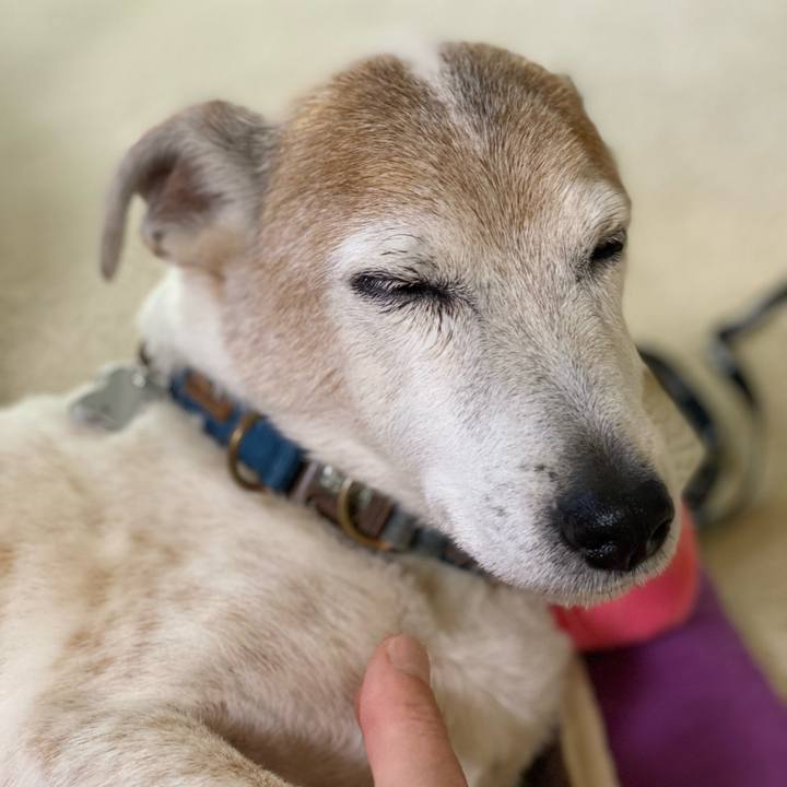 Ca27f493 9713 415b 97b6 227a0cde123f 1653626715101