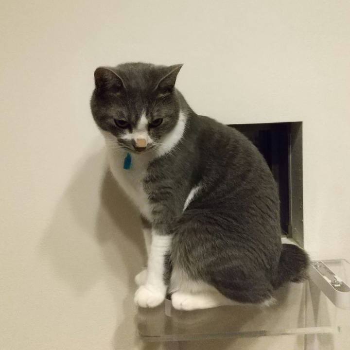 Ca27fb8b 732c 458c 85e1 b4d1155901fe 1625483752391