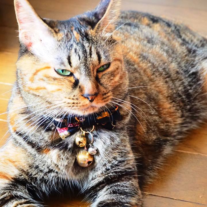 Ca280334 138e 4378 a1d2 bd60ba10c070 1535519665583