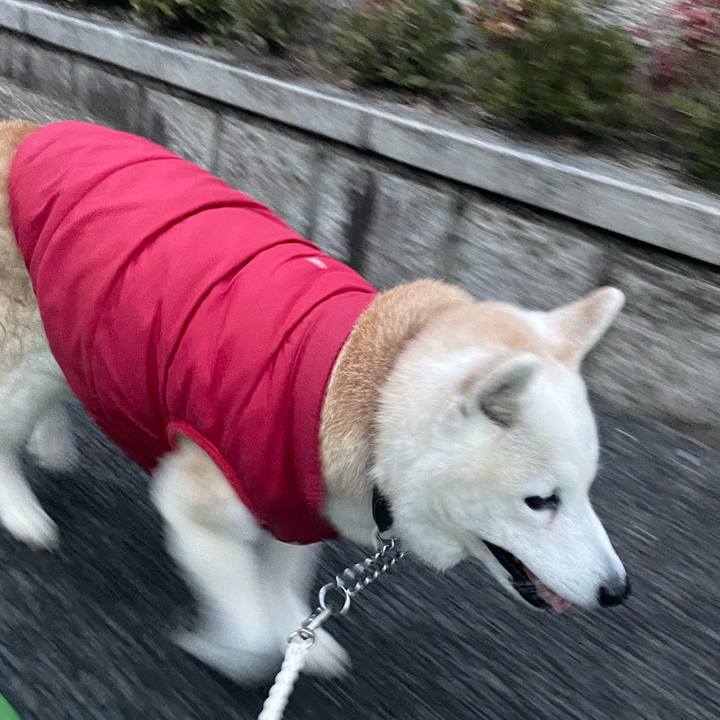 Ca280556 2a00 43d9 adc5 9a9136fe859d 1705583970171