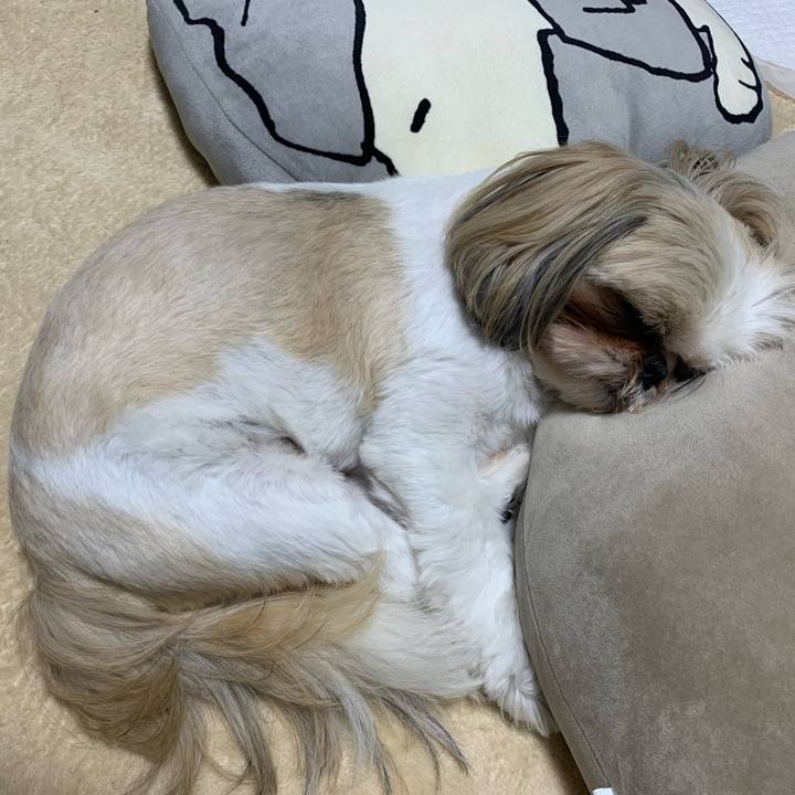 Ca280d0d 4954 4a6d 89ed aad2e2fb7fde 1660139789756