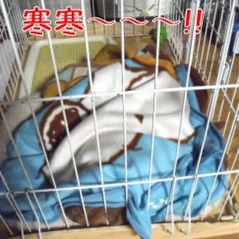 Ca2838c5 000b 497c 8bf2 4c3ffa27f95c 1705017684982