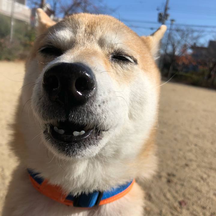 Ca2842fa 0b3d 46e9 a5ad 6e42d9652a36 1576473758715