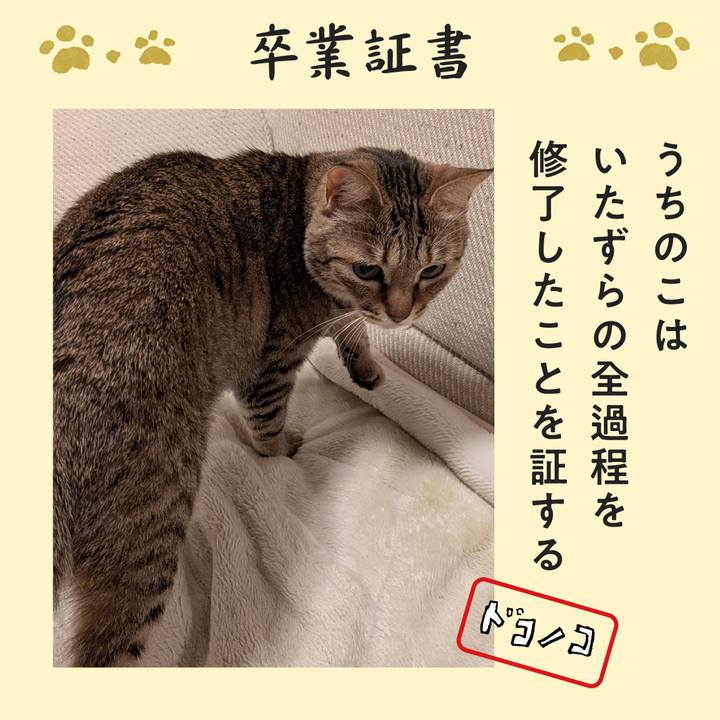 Ca2862fc 8e35 4140 8191 87791b26a084 1771827770307