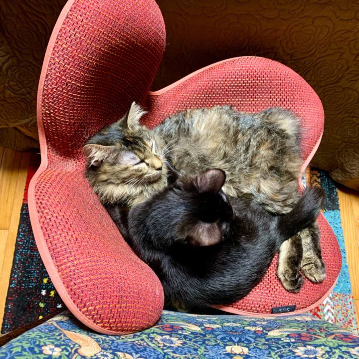 Ca2864f3 90c3 46a9 8a42 27142c4cdbf0 1645098115836