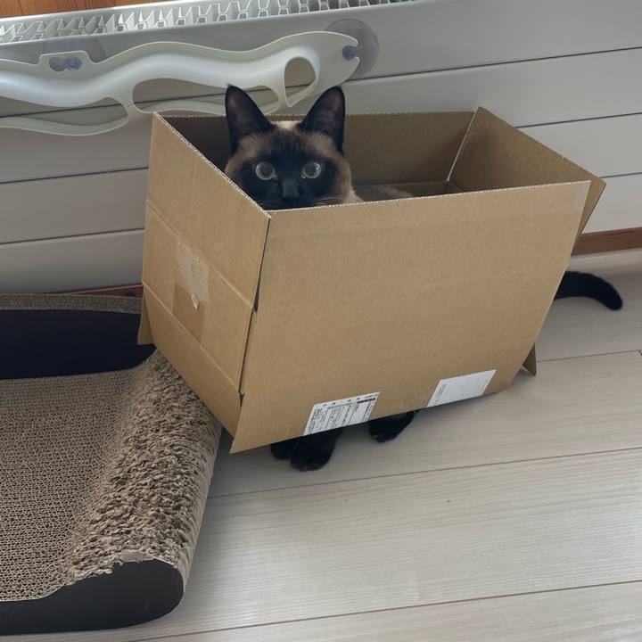 Ca287ede 12d8 4627 a38c 187860be1937 1743909608886