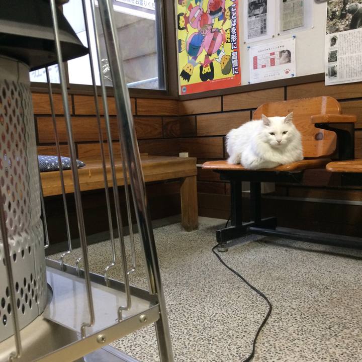 Ca289b17 801b 4777 8d9a 6072724093f8 1516055117058