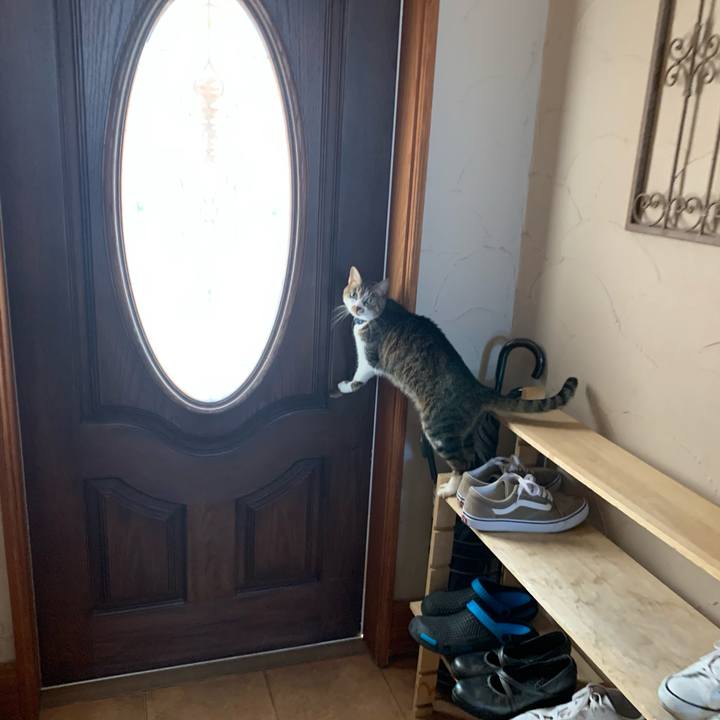 Ca28a5a0 9888 44aa a284 23a94abbd3f5 1585449631059