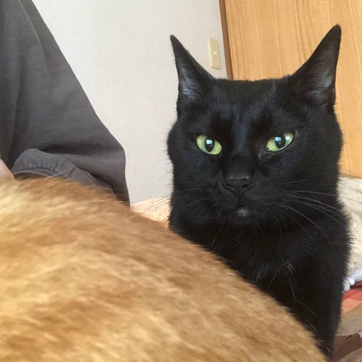 Ca28e826 96b9 499f 94e3 197241188e9d 1672275823149