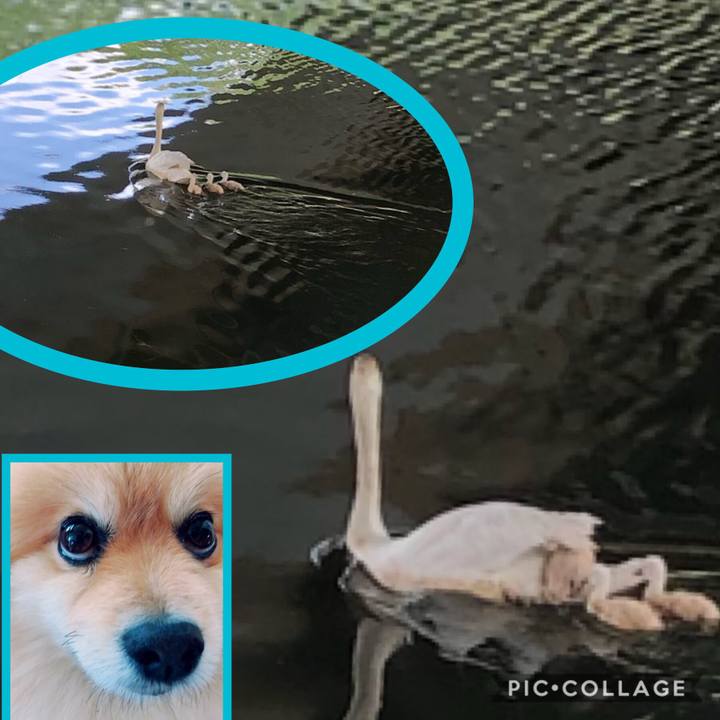 Ca28eee3 4840 4d8f 8f2c b86832018a31 1558156549591