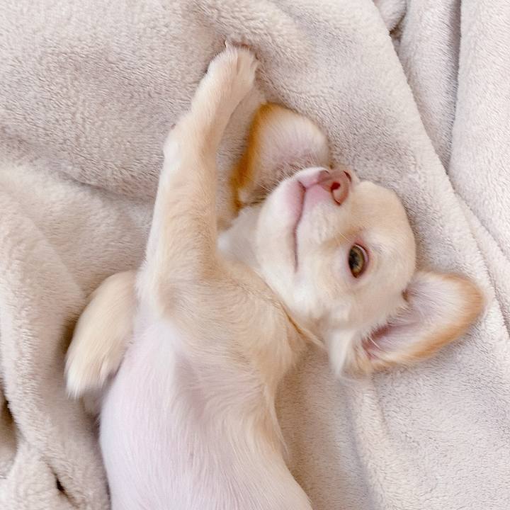 Ca2904d9 cf5b 4a85 90dc 2bb8a54a9077 1593750083199