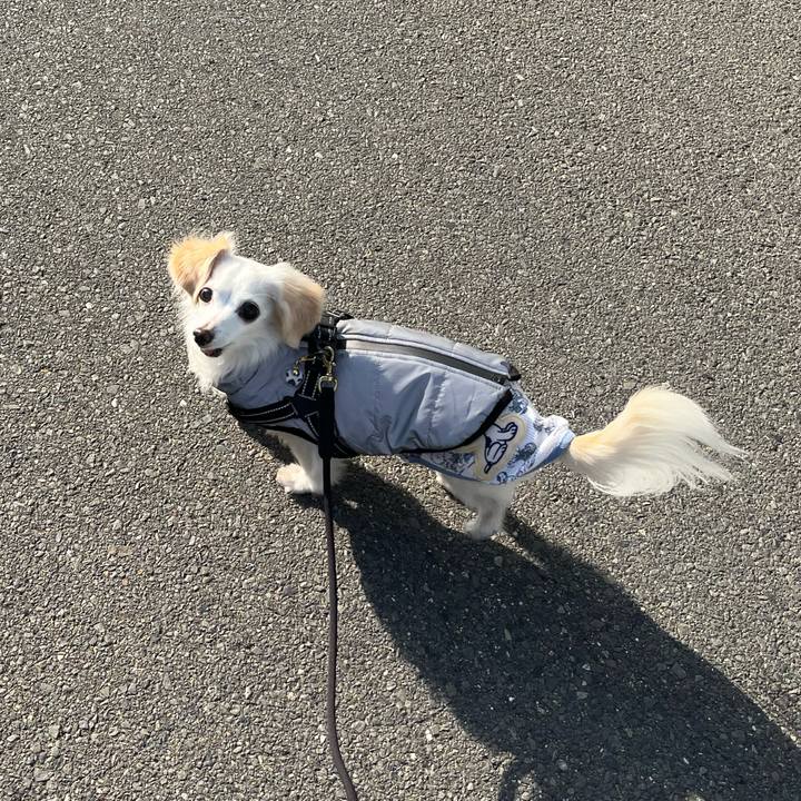 Ca292d1c aad8 497a 92ad 122079b01b76 1740569301589