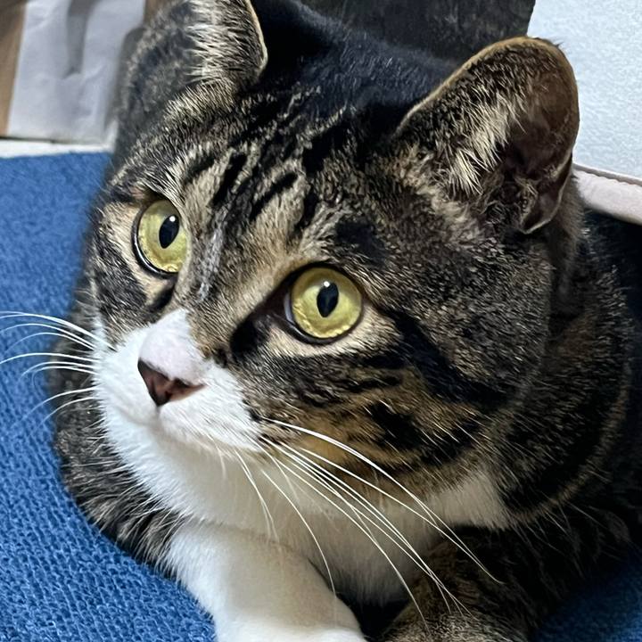 Ca295216 7658 45cc 926f 2a55064e402a 1770943227925