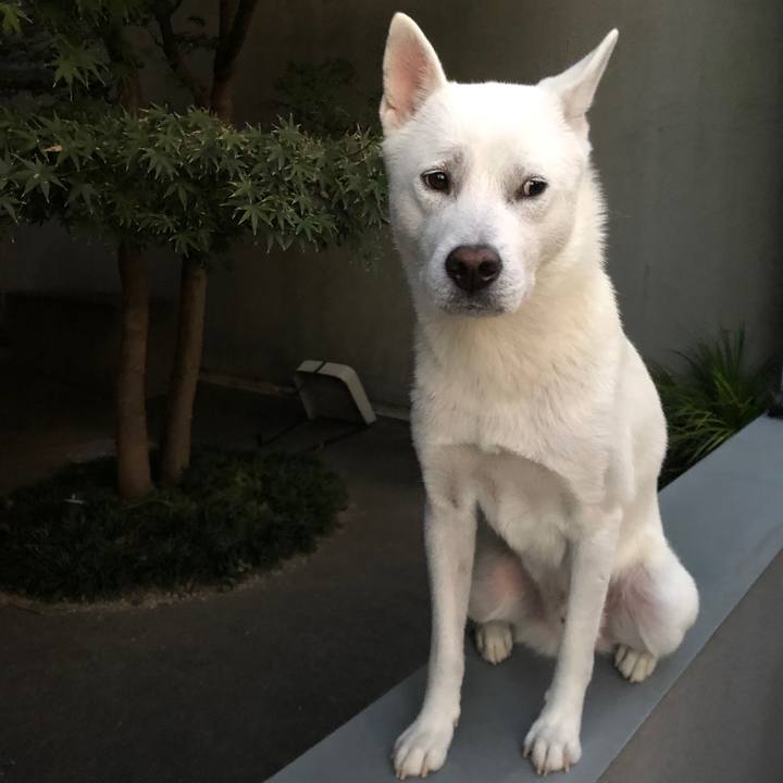 Ca29706a 69a2 4a22 89ee 91950ba22643 1572604433474