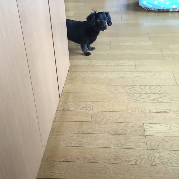 Ca297415 c6fa 43af aef2 02e9a9990685 1528756122027