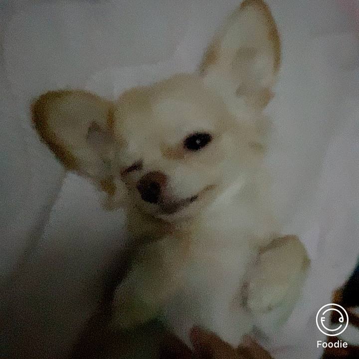 Ca2984a8 7a4b 4b8b 9d3f d0836d7d6d7d 1600982104799