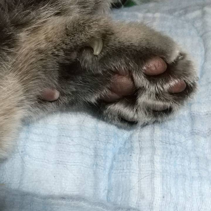 Ca298d18 dade 4813 9407 2b7155a917c9 1621255824602